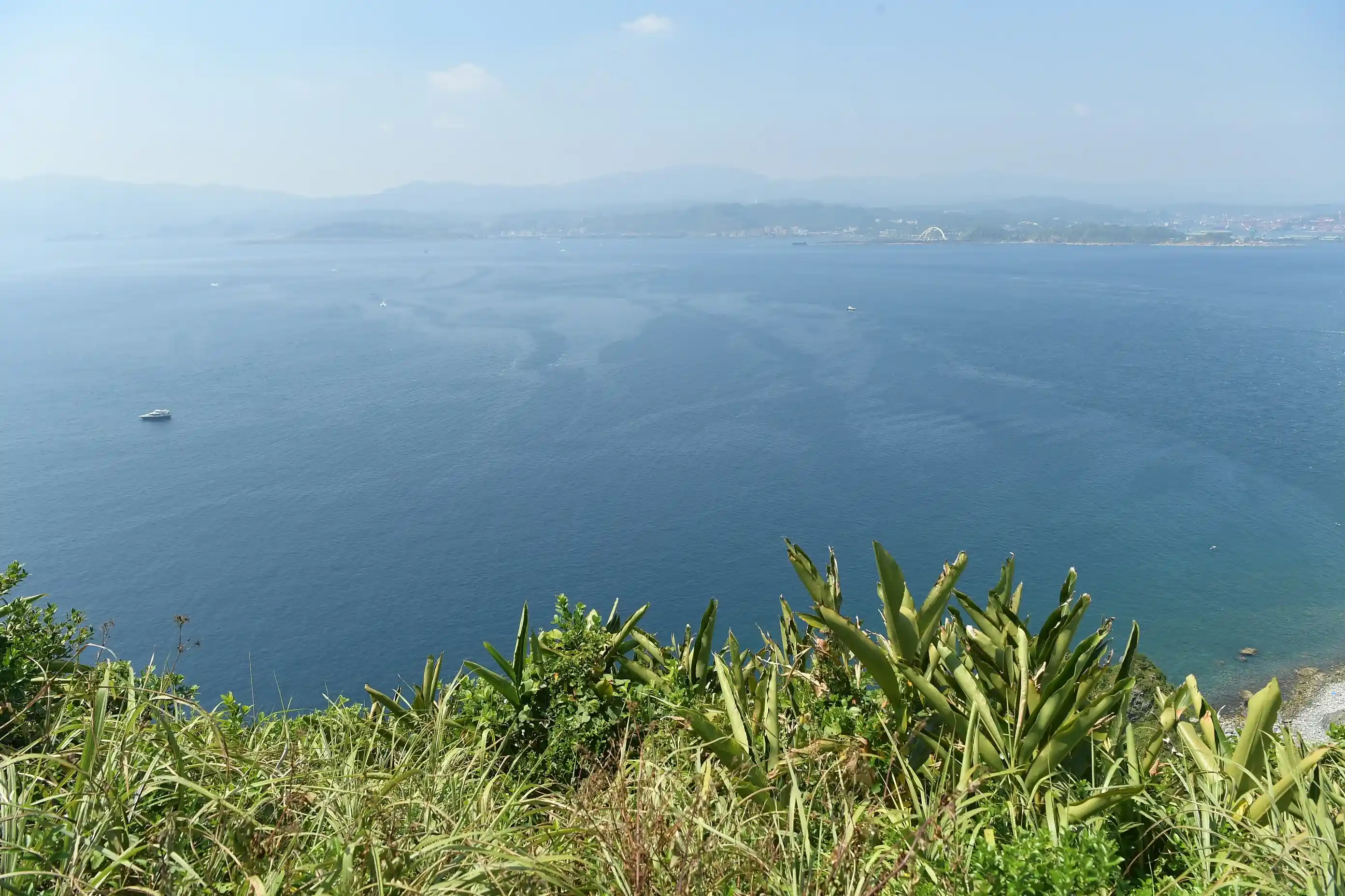 親潮黑潮交匯